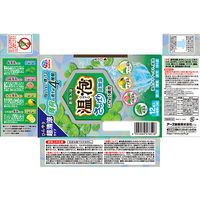 【数量限定】 入浴剤 クール 温泡 ONPO さっぱり炭酸湯 こだわり薄荷 4種アソート 1箱（12錠入）透明タイプ アース製薬