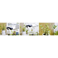 住友化学園芸 農薬 住友園芸 MP虫から守るミスト 250ml 2100803 1本