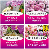 東商 洋ランの肥料 500g 2100957 1袋（直送品）