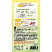 株式会社ヘルス ショウガ薬湯 柚子　50g 4976552041838 6錠×20点セット（直送品）