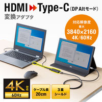 サンワサプライ HDMI-Type-C(DP Altモード)変換アダプタ(4K/60Hz) AD-HD26TC 1個