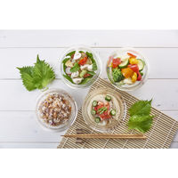 HARIO 耐熱サラダボウル 4個セット 300ml HSB-2812 5個