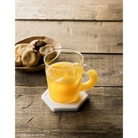 Karari 珪藻土コースター ヘキサゴン ホワイト 5個 アネスティー