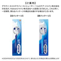 【義歯ブラシ】 入れ歯ブラシ ポリデント 入れ歯の歯ブラシ Haleonジャパン 5本