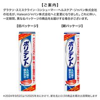 【入れ歯洗浄剤】 ポリデント 入れ歯の歯みがき ジェルタイプ 入れ歯用歯磨き粉 95g Haleonジャパン 5個