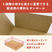 【60サイズ】高さ4段階可変ダンボール 縦303×横215×高さ15～60mm 1パック（1枚入） SP6301 今村紙工