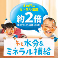 伊藤園　健康ミネラルむぎ茶　2.0L　1箱（6本入）（わけあり品）