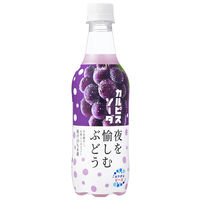 アサヒ飲料 カルピスソーダ 夜を愉しむぶどう 450ml 1箱（24本入）