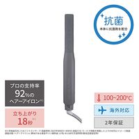 ヘアアイロン 薄型ヘッド スリムプレート 温度調整/ロック/メモリー機能 開閉ロック グレー NIS300A-H テスコム 1個