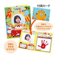 アーテック おたんじょうびファイル 21213 1セット(10枚)