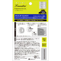 ランドリン 車用フレグランス マスカットスカッシュの香り 1セット（4個）