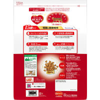 日本ペットフード ビューティープロ キャット 腎臓の健康維持 15歳以上 フィッシュ味 2.7kg 281055 1個（直送品）