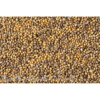 黒瀬ペットフード 産地限定バードフードカワツキ(2種) 600g 294309 1個（直送品）