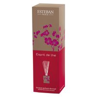 エステバン エスプリドテ デコラティブラタンブーケ 芳香剤 本体 100ml 1個 日本香堂