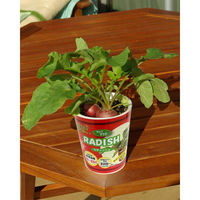 フォレスト カップサラダ ラディッシュ 1セットイリ 4582255218370 1個（直送品）