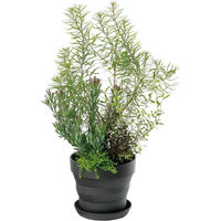 大和プラスチック プラウドポット 15型 ブラック 4903266729486 1個（直送品）