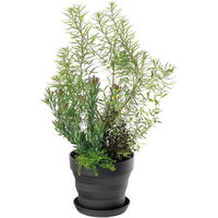 大和プラスチック プラウドポット 21型 ブラック 4903266729523 1個（直送品）