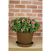 welzo もみっくポット 7号 ブラウン 4933136527829 1個（直送品）