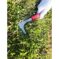 大進 フィットグリップ2WAY雑草抜き 4939736701829 1個（直送品）