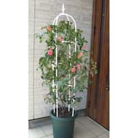 第一ビニール スモールオベリスク　ホワイト 120cm ホワイト 4968438019390 1個（直送品）