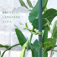 渡辺泰 ビニタイ 洋ラン用 ワサビ 15cm 200本入り ワサビ(黄緑) 4971620601594 1個（直送品）