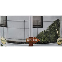 日本マタイ 透明 つるものネット 1.8×2.7m 4989156008268 1個（直送品）