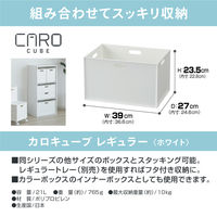 JEJアステージ カロキューブレギュラー ホワイト 4528302190008 1個