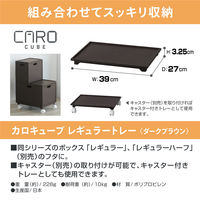 JEJアステージ カロキューブレギュラートレー ブラウン 4528302190053 1個