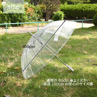 スギハラ 傘 60cm ジャンプ カラーグラス16本骨 グレージュ 4947272706222 1セット(1本×6)