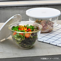 HARIO （ハリオ） レンジ フタ付 耐熱ガラス製 ボウル 2個セット MXPF-3506-W 1個