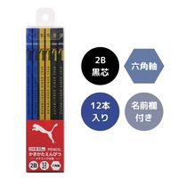クツワ PUMA(プーマ) メタリック鉛筆 2B プラ箱入 PM448 1個