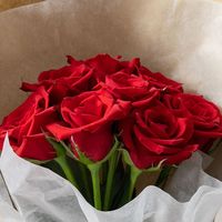 【生花】アデリー スタンディングブーケ　ルージュ８本　タグ付き「ありがとうございました」 FMA-01C-E 1箱（直送品）