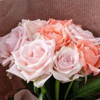 【生花】アデリー スタンディングブーケ　スイート８本　タグ付き「おめでとうございます」 FMB-01C-D 1箱（直送品）