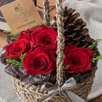 【生花】アデリー ホシファーム『お花畑から摘んできた薔薇ギフト』ルージュ＆ホシフルーツクグロフ４個 FMI-01C 1箱（直送品）