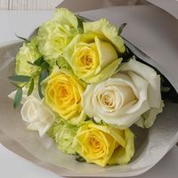 アデリー ホシファーム　フリル　ホワイトイエローグリーン　８本＆オークラ　プチケーキ４個 FMX-32B 1箱（直送品）