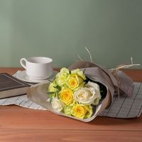 【生花】アデリー ホシファーム　フリルホワイトイエローグリーン８本＆ホシフルーツ贅沢ブラウニー６個 FMX-36B 1箱（直送品）