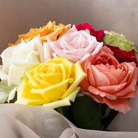 【生花】アデリー スタンディングブーケ　カラフル８本　タグ付き「おめでとうございます」 FMY-01B-D 1箱（直送品）