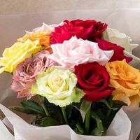 【生花】アデリー スタンディングブーケ　カラフル１２本　タグ付き「おめでとうございます」 FMY-02B-D 1箱（直送品）