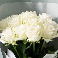 【生花】アデリー スタンディングブーケ　ピュア１２本　タグ付き「おめでとうございます」 FMZ-02B-D 1箱（直送品）