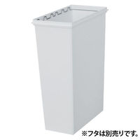 天馬 ゴミ箱 45L 本体 スリム ホワイトラッシュ スマートペール 4904746148285 1個(フタ別売り)