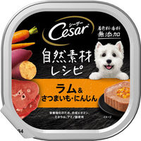 （お得なアソート）シーザー 犬 自然素材レシピ おいしさいろいろミックス 14個（7個×2種）ドッグフード トレイ ウェット