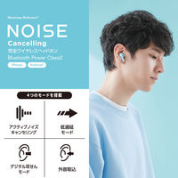 ワイヤレスイヤホン Bluetooth ノイズキャンセリング Type-C 充電 ブルー LBT-TWS15BU エレコム 1個