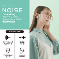 ワイヤレスイヤホン Bluetooth ノイズキャンセリング Type-C 充電 グリーン LBT-TWS15GN エレコム 1個