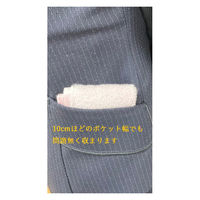 日繊商工 ポケットにも入れやすいコンパクトタオルハンカチ 「リベルテ ブルー」 IH401B-(10) 1箱(10枚入)（直送品）