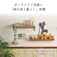 アーテック フェイクグリーン ガーランド バラ 白 75216 1セット(2個)