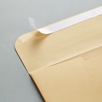 高春堂 マチ付クラフト封筒 角2テープ付167-50　1箱（直送品）