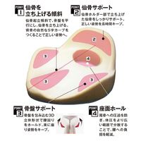 アルファ 仙骨クッション 仙律 621621 ブラウン　1個（直送品）