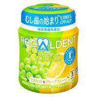 リカルデント フルーツアソートガム マスカット＆グレープフルーツ ボトルR 6個 モンデリーズ・ジャパン ガム