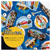 コッカ レッスンバッグ カーズ ディズニー CG-2947 1枚