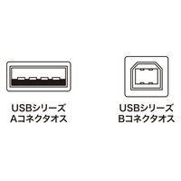 サンワサプライ USB2.0ケーブル(ブラック・2m) KU20-2BKK2 1本